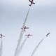 Illustration for article titled 2019 Abbostford (A city in BC) Airshow Photos.